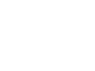 Store Icon