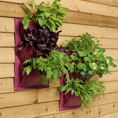 8-pot-d-herbes-(1).JPG 8-pot-d-herbes-(1).JPG