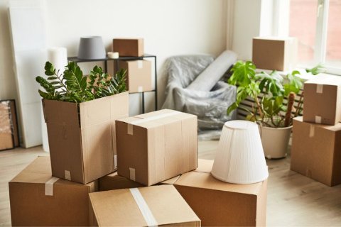 Cartons de déménagement emballés dans un appartement parisien vide entre deux locations